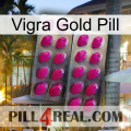 Vigra Gold Pill 10